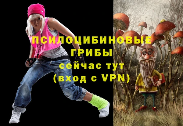 хмурый Алексин