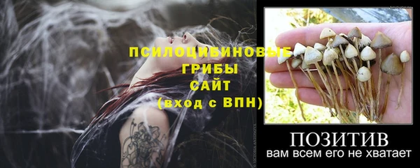 амф Алексеевка