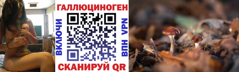 Галлюциногенные грибы GOLDEN TEACHER  hydra ССЫЛКА  Евпатория 