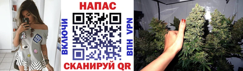 Марихуана OG Kush kraken зеркало Евпатория